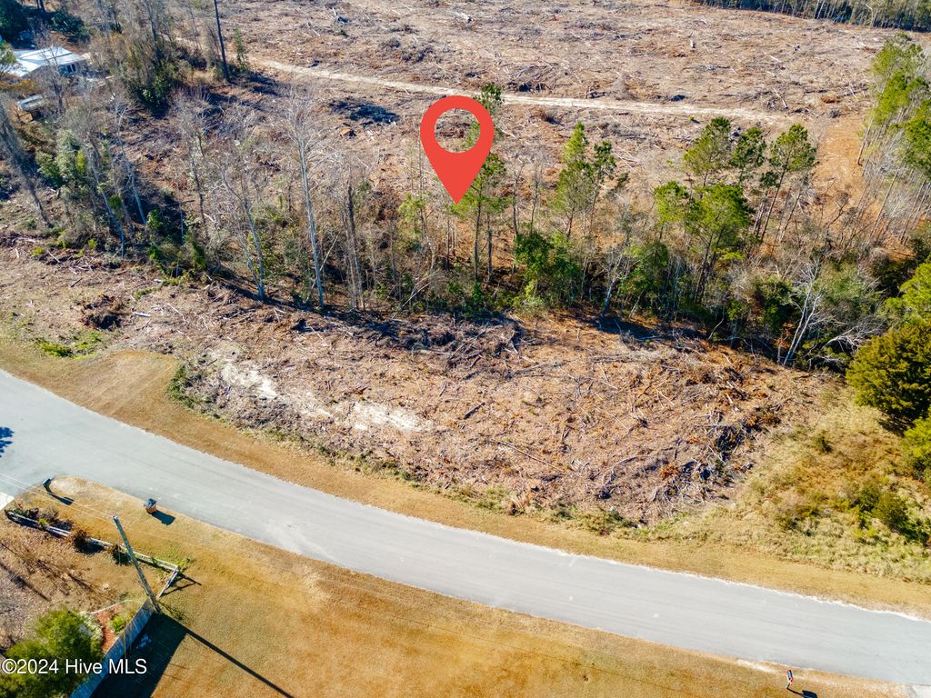 Photo of 1550 Jumpin Run Road, Hubert, NC 28539 (MLS # 100481143)