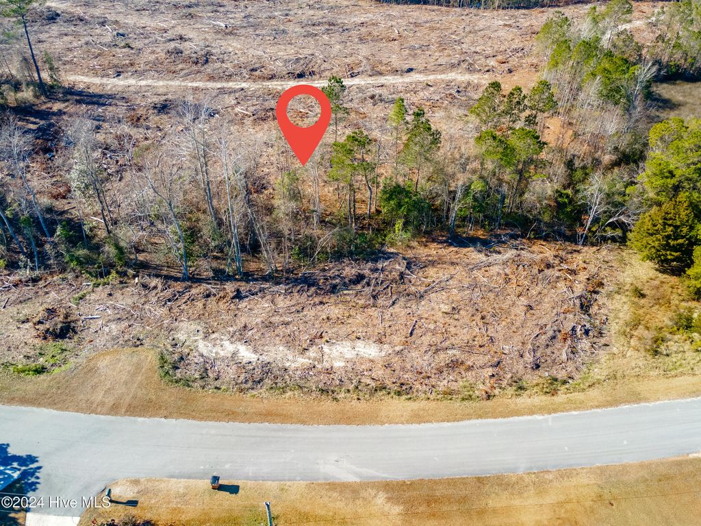 Photo of 1550 Jumpin Run Road, Hubert, NC 28539 (MLS # 100481143)
