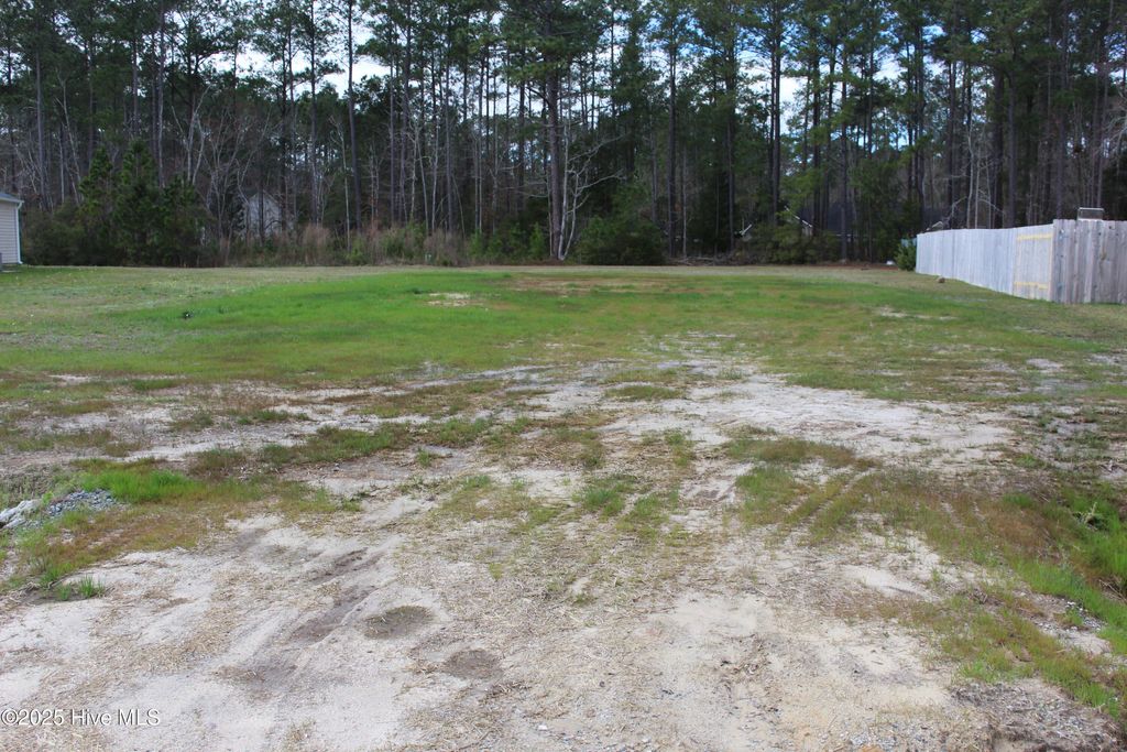Photo of 102 Wainwright Court, Havelock, NC 28532 (MLS # 100515991)