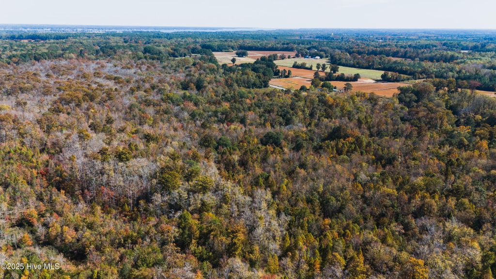 Photo of 0 Gray Road, Chocowinity, NC 27817 (MLS # 100538797)