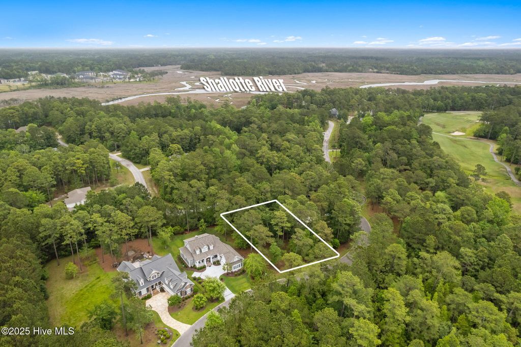 Photo of 310 Bay Hill Court, Shallotte, NC 28470 (MLS # 100507516)