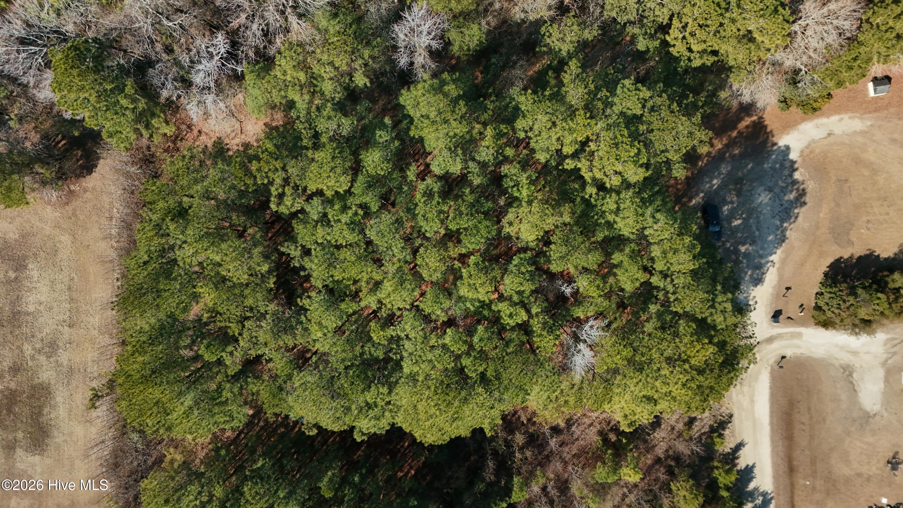 245 Crape Myrtle Lane