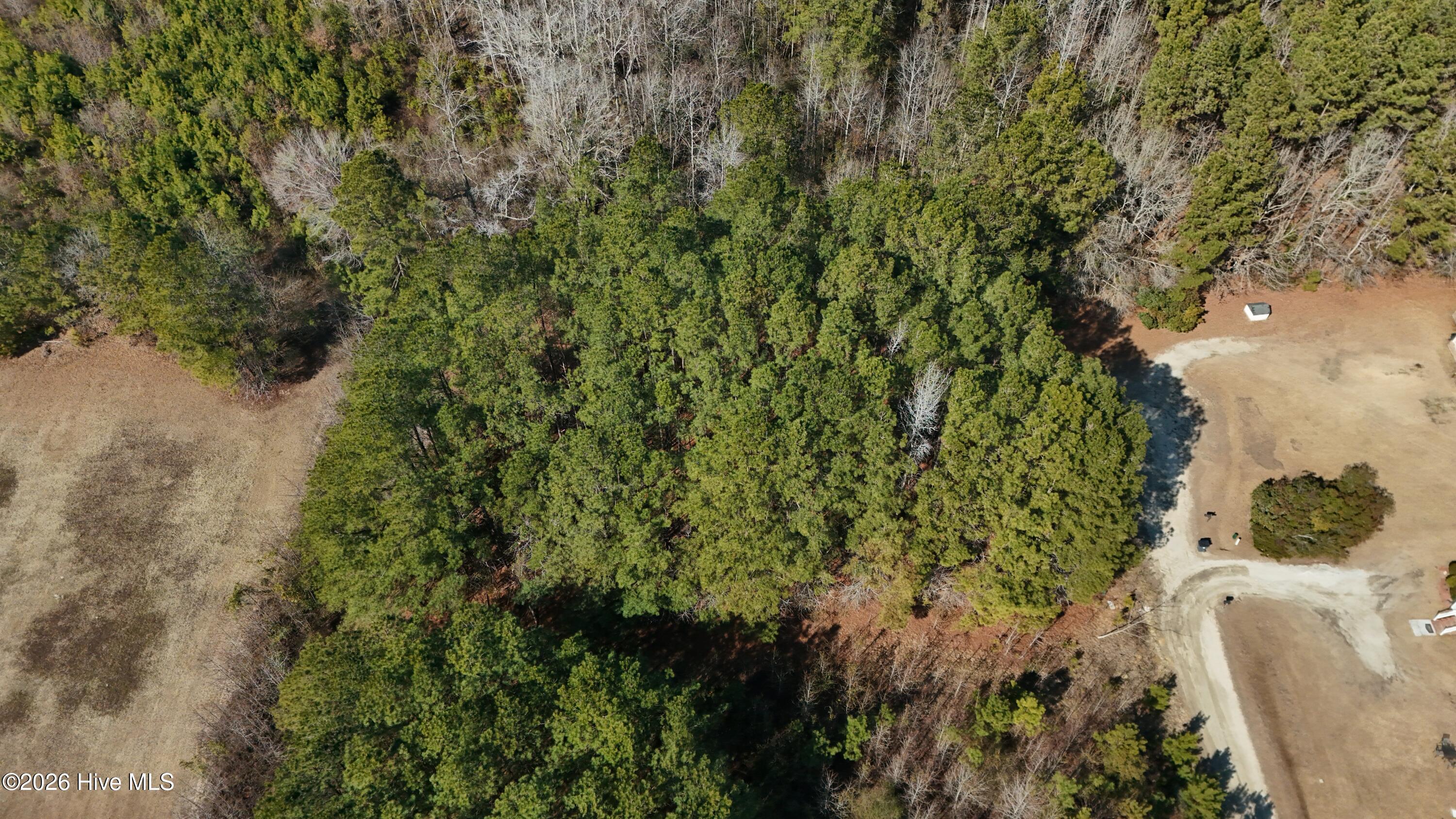 245 Crape Myrtle Lane