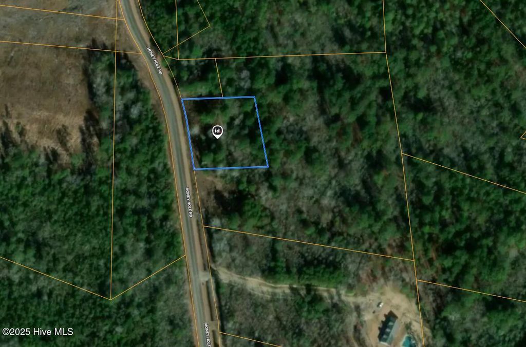 Photo of 1 Money Hole Road, Riegelwood, NC 28456 (MLS # 100538418)