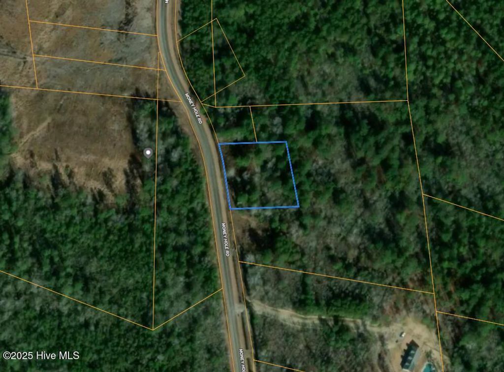 Photo of 1 Money Hole Road, Riegelwood, NC 28456 (MLS # 100538418)