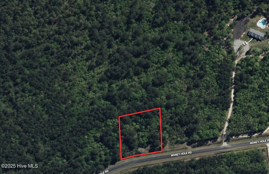 Photo of 1 Money Hole Road, Riegelwood, NC 28456 (MLS # 100538418)