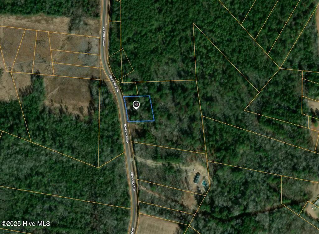 Photo of 1 Money Hole Road, Riegelwood, NC 28456 (MLS # 100538418)