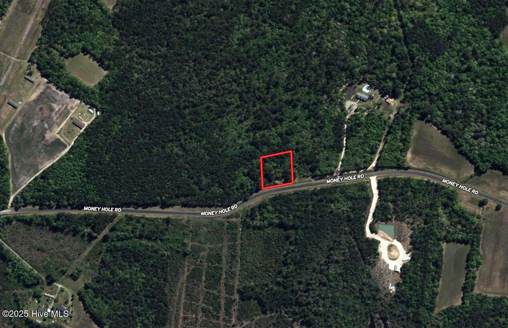 Photo of 1 Money Hole Road, Riegelwood, NC 28456 (MLS # 100538418)
