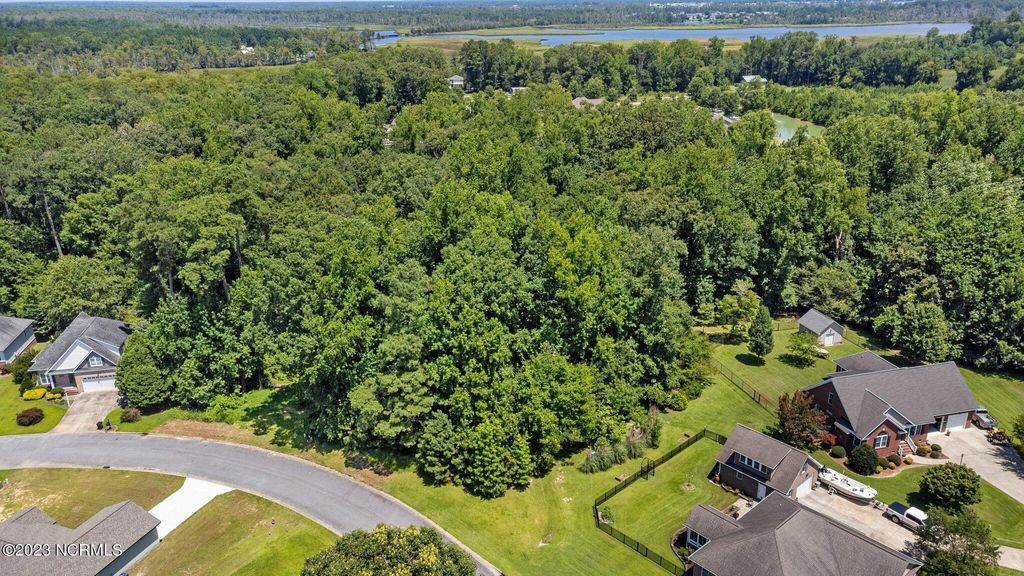 Photo of 22 Hannah Drive, Chocowinity, NC 27817 (MLS # 100498452)