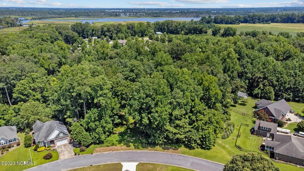 Photo of 22 Hannah Drive, Chocowinity, NC 27817 (MLS # 100498452)