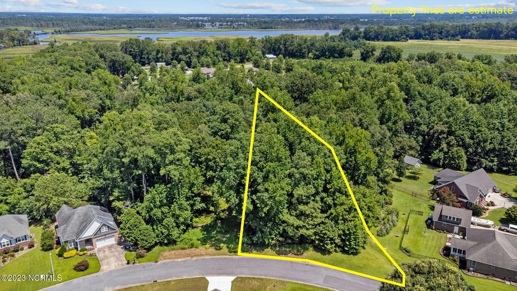 Photo of 22 Hannah Drive, Chocowinity, NC 27817 (MLS # 100498452)
