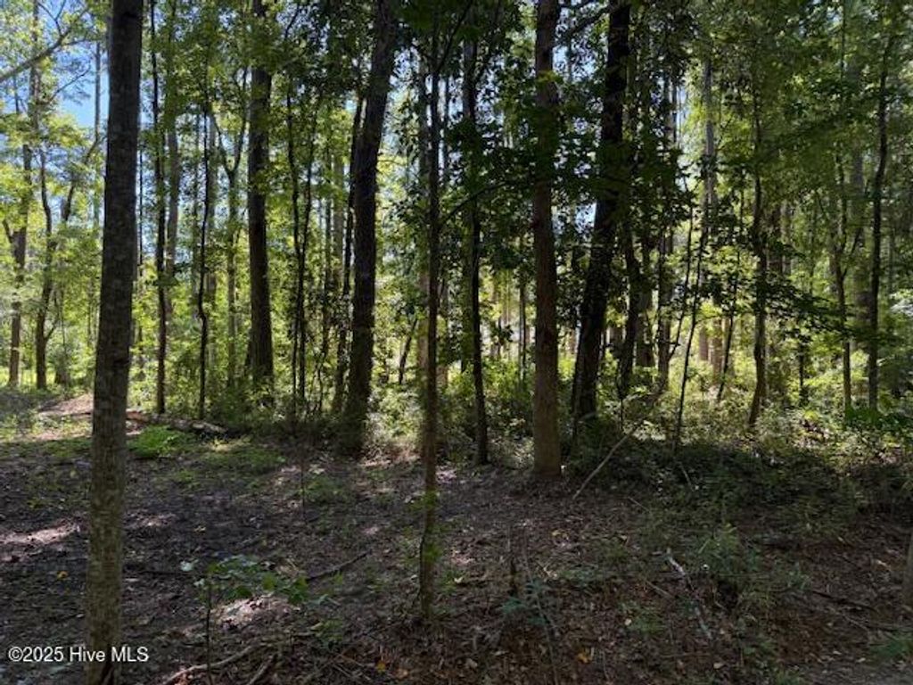 Photo of 6702 Hummingbird Place, Oriental, NC 28571 (MLS # 100529212)