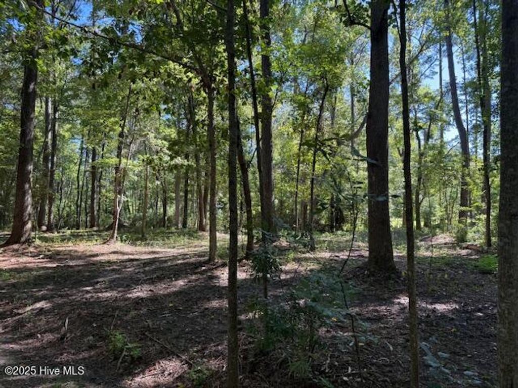 Photo of 6702 Hummingbird Place, Oriental, NC 28571 (MLS # 100529212)