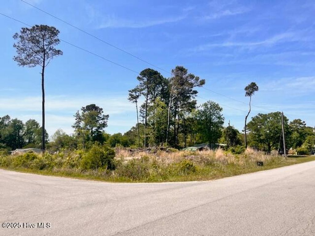 Photo of 3741 Palm Street SE, Bolivia, NC 28422 (MLS # 100497298)