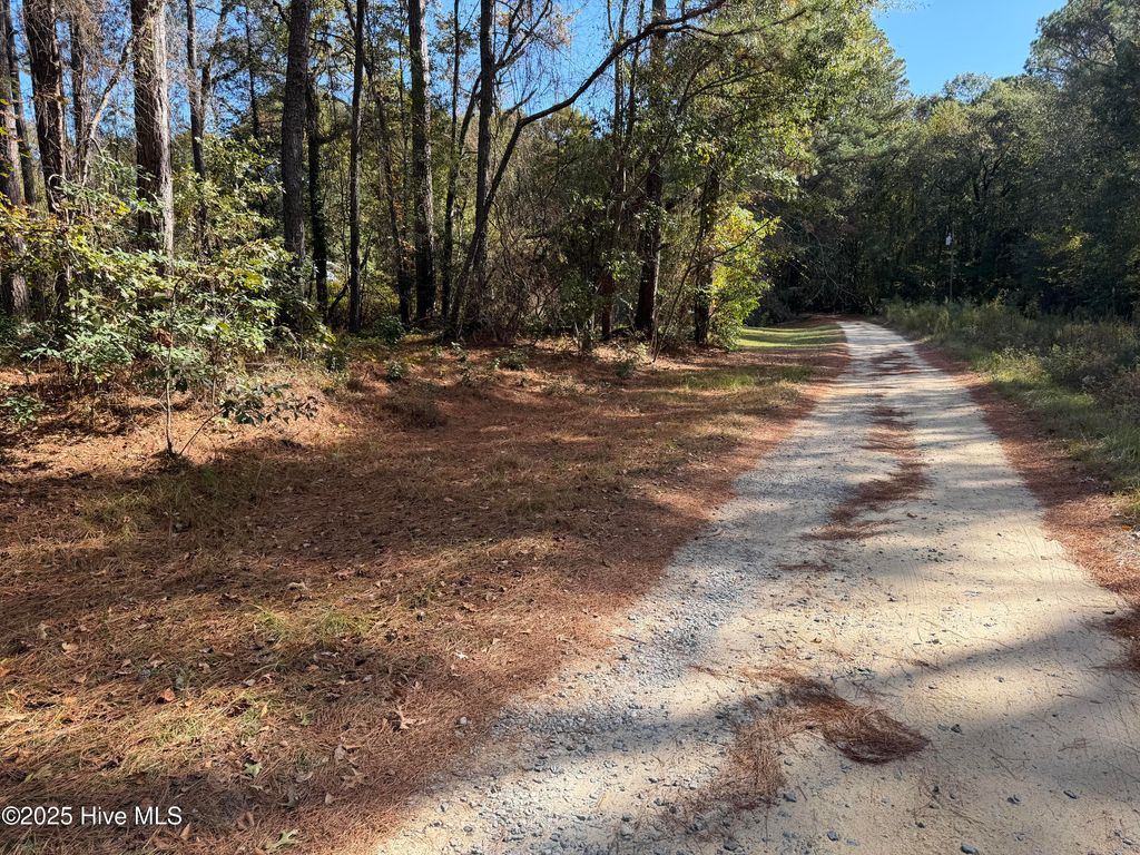 Photo of 254 Falling Creek Lane, Goldsboro, NC 27530 (MLS # 100537961)