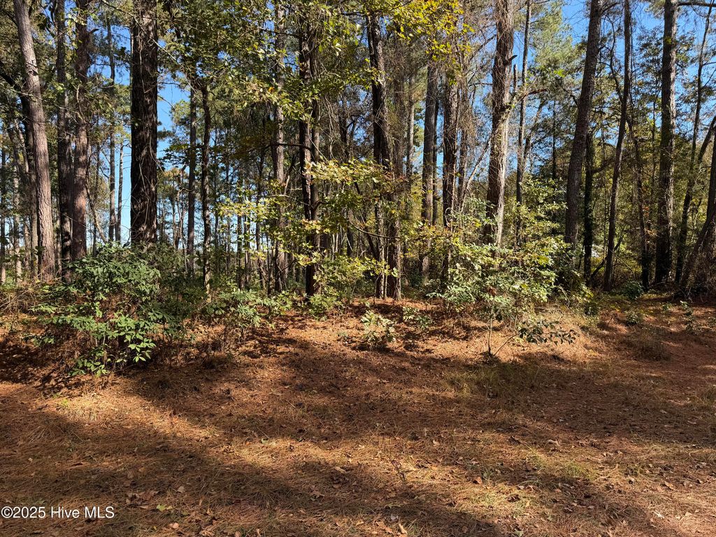 Photo of 254 Falling Creek Lane, Goldsboro, NC 27530 (MLS # 100537961)