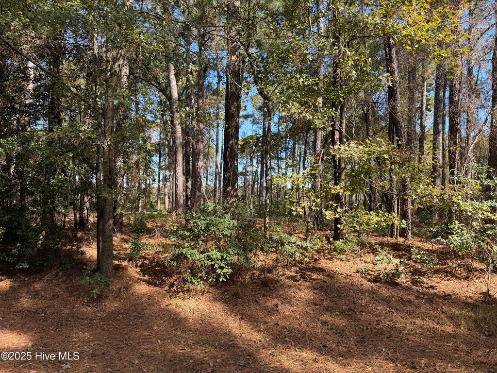 Photo of 254 Falling Creek Lane, Goldsboro, NC 27530 (MLS # 100537961)