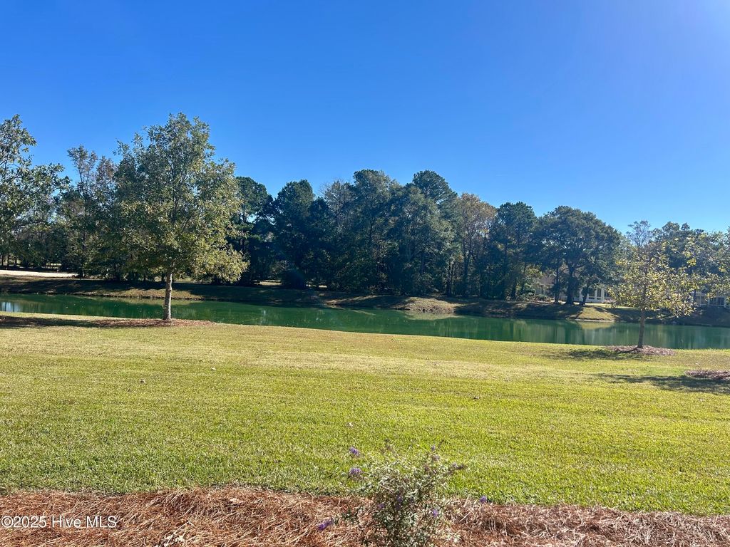 Photo of 141 Sycamore Lakes Drive, Wallace, NC 28466 (MLS # 100537795)