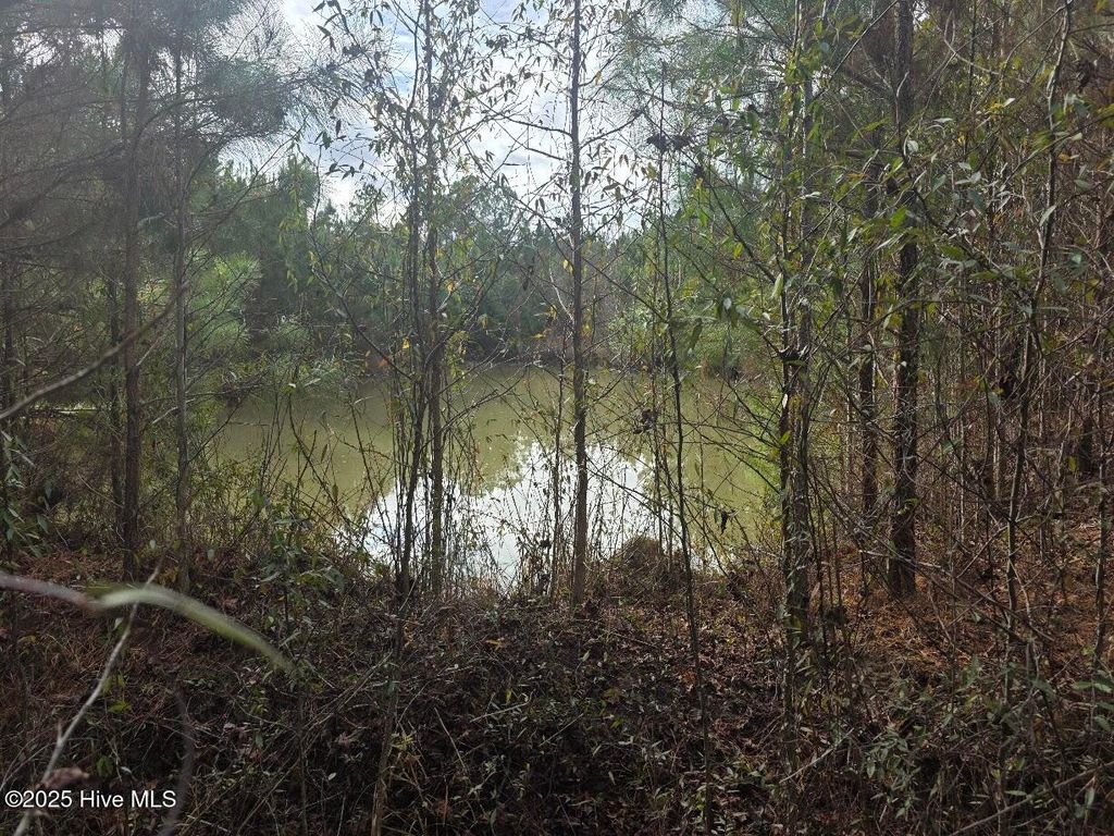Photo of 9093 Near 9093 Joe Brown Highway N, Bladenboro, NC 28320 (MLS # 100543169)