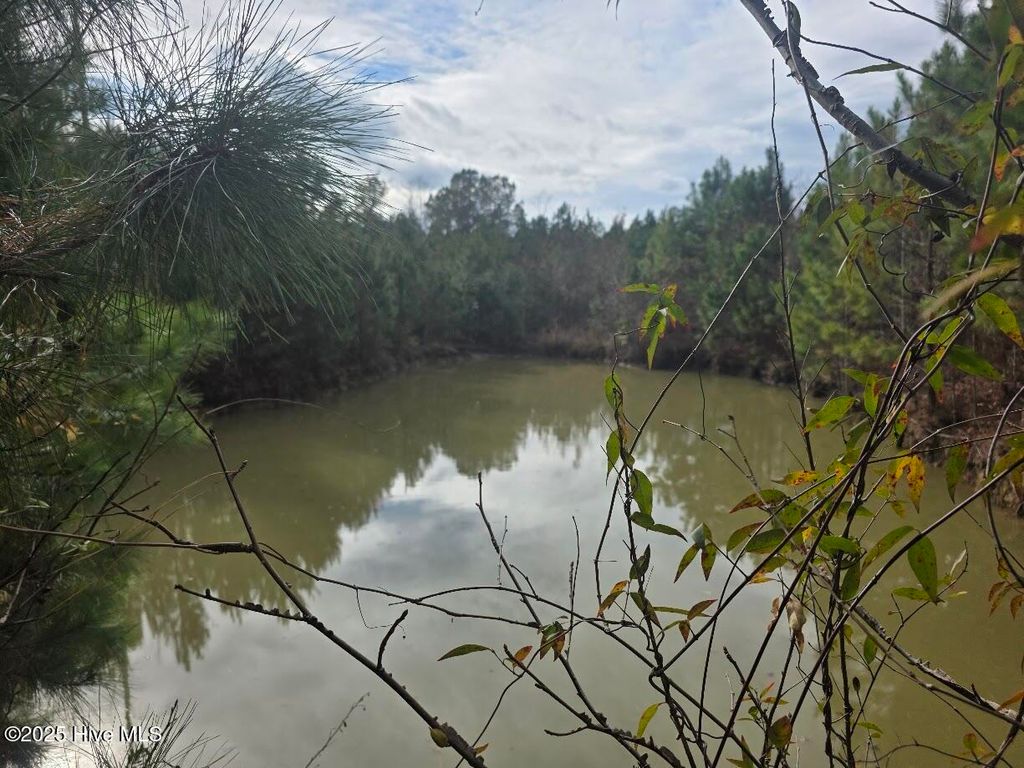 Photo of 9093 Near 9093 Joe Brown Highway N, Bladenboro, NC 28320 (MLS # 100543169)