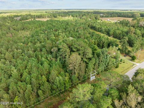 Tiny photo for Tbd Gurganus Road, Maple Hill, NC 28454 (MLS # 100535179)