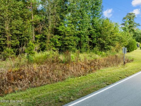 Tiny photo for Tbd Gurganus Road, Maple Hill, NC 28454 (MLS # 100535179)