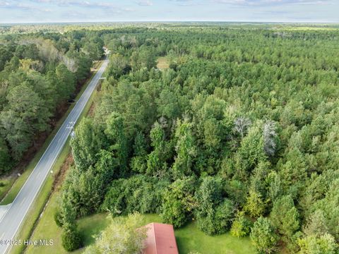 Tiny photo for Tbd Gurganus Road, Maple Hill, NC 28454 (MLS # 100535179)