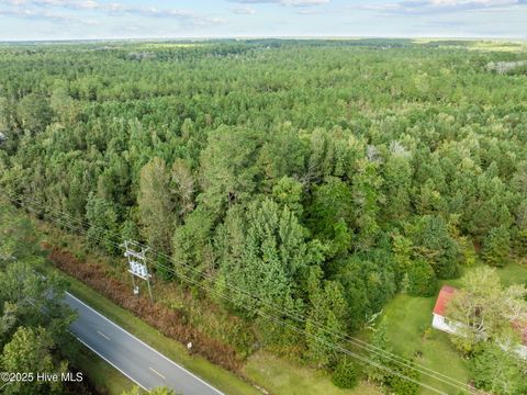 Tiny photo for Tbd Gurganus Road, Maple Hill, NC 28454 (MLS # 100535179)
