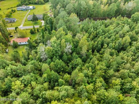 Tiny photo for Tbd Gurganus Road, Maple Hill, NC 28454 (MLS # 100535179)