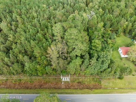 Tiny photo for Tbd Gurganus Road, Maple Hill, NC 28454 (MLS # 100535179)