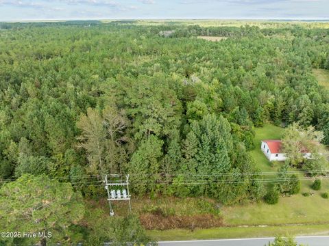 Tiny photo for Tbd Gurganus Road, Maple Hill, NC 28454 (MLS # 100535179)