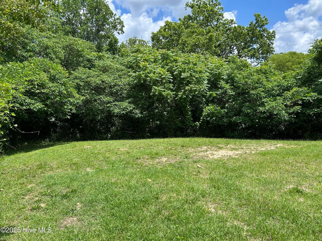 Photo of 106 W Barrett Street, Carthage, NC 28327 (MLS # 100509491)