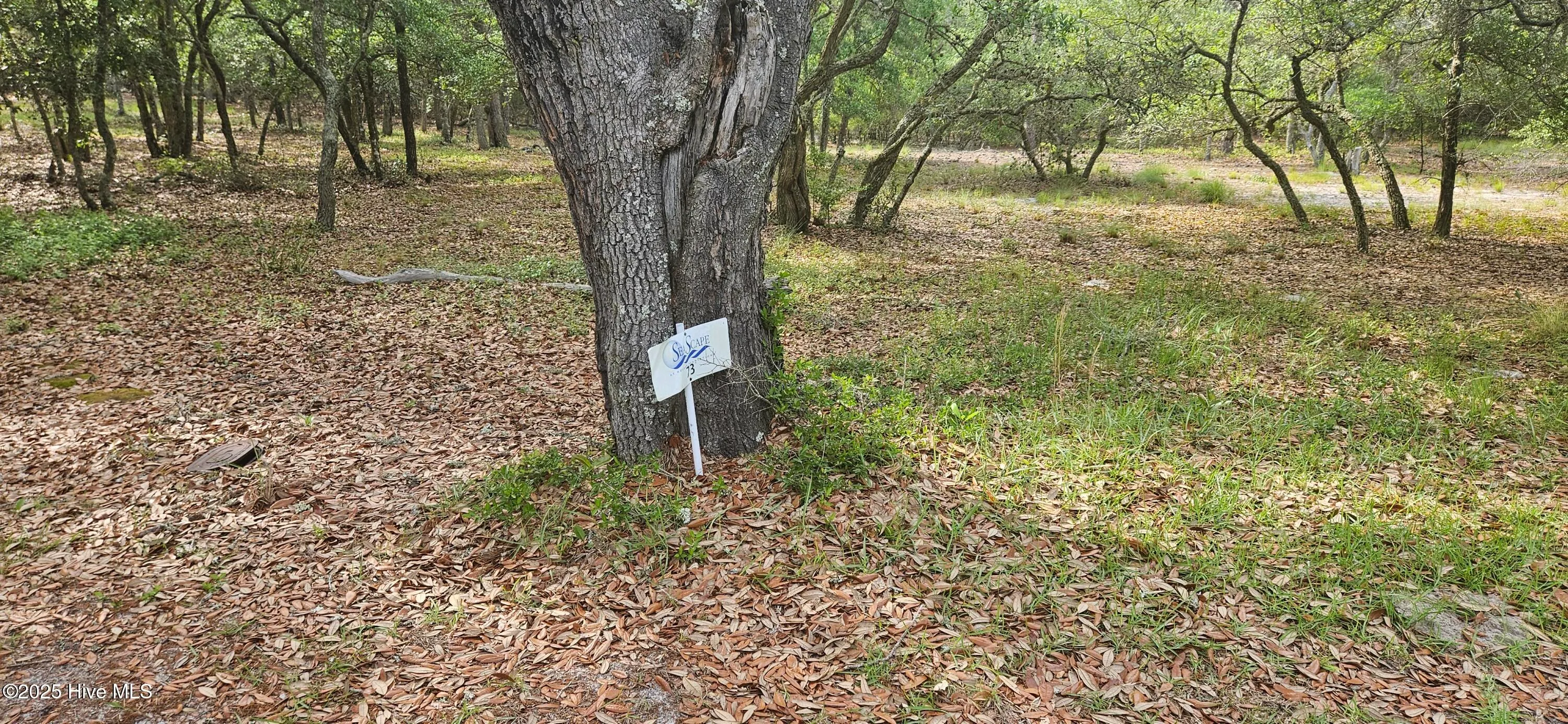 Supply, North Carolina 28462, United States, ,Land,Active,142529