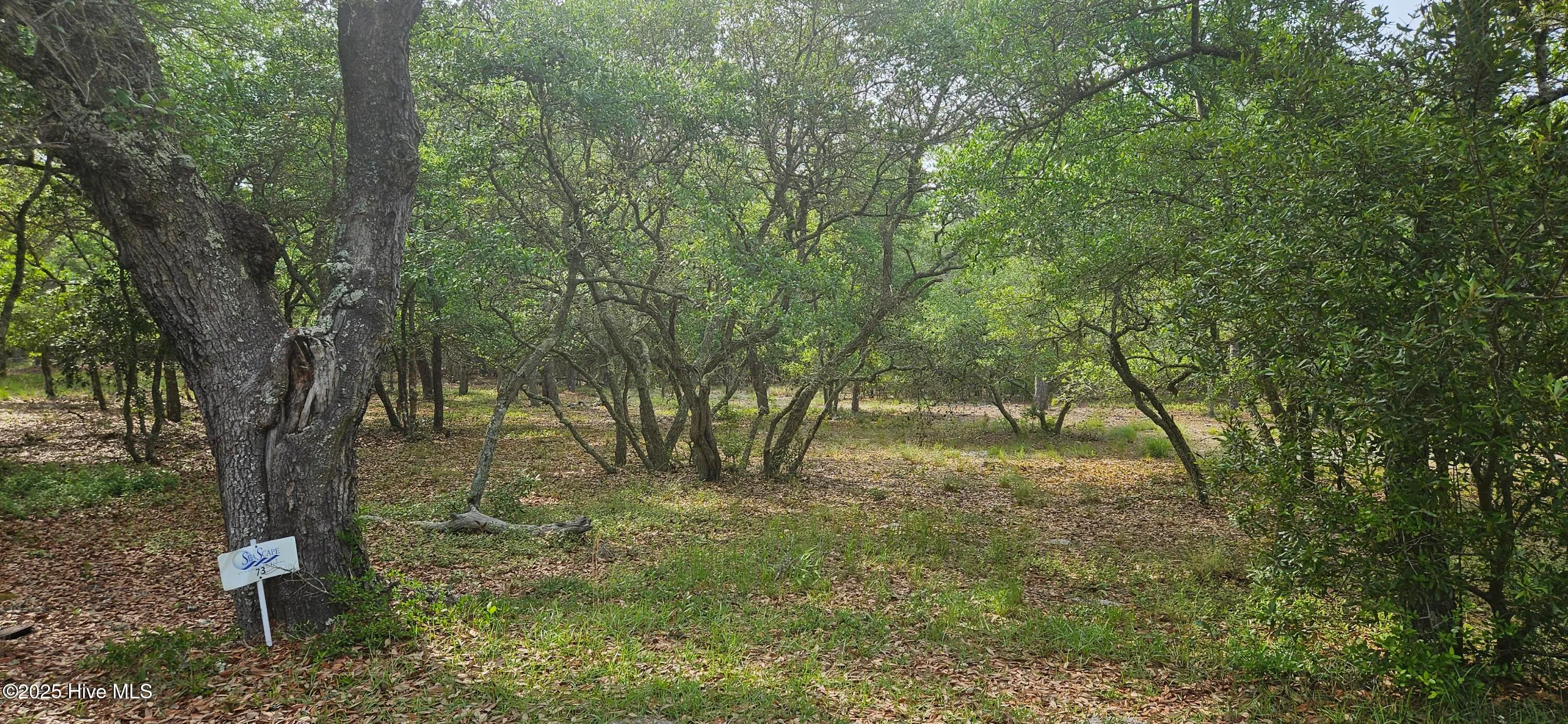 Supply, North Carolina 28462, United States, ,Land,Active,142529