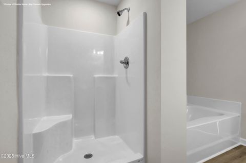 Tiny photo for 117 Molly Rice Branch Court, Jacksonville, NC 28546 (MLS # 100538394)