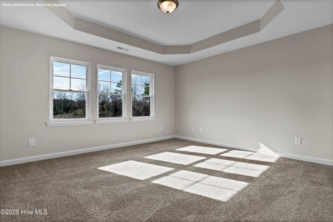 Tiny photo for 117 Molly Rice Branch Court, Jacksonville, NC 28546 (MLS # 100538394)