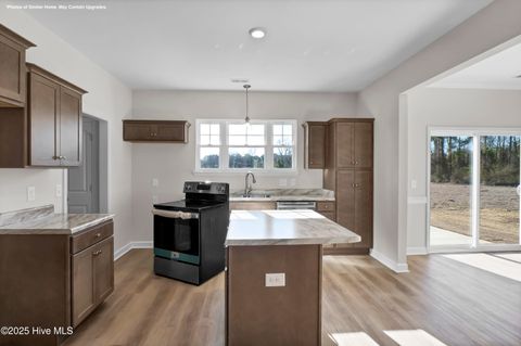 Tiny photo for 117 Molly Rice Branch Court, Jacksonville, NC 28546 (MLS # 100538394)