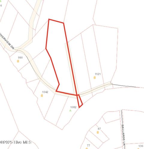 Photo of 28 Riverview Drive, Burgaw, NC 28425 (MLS # 100532698)
