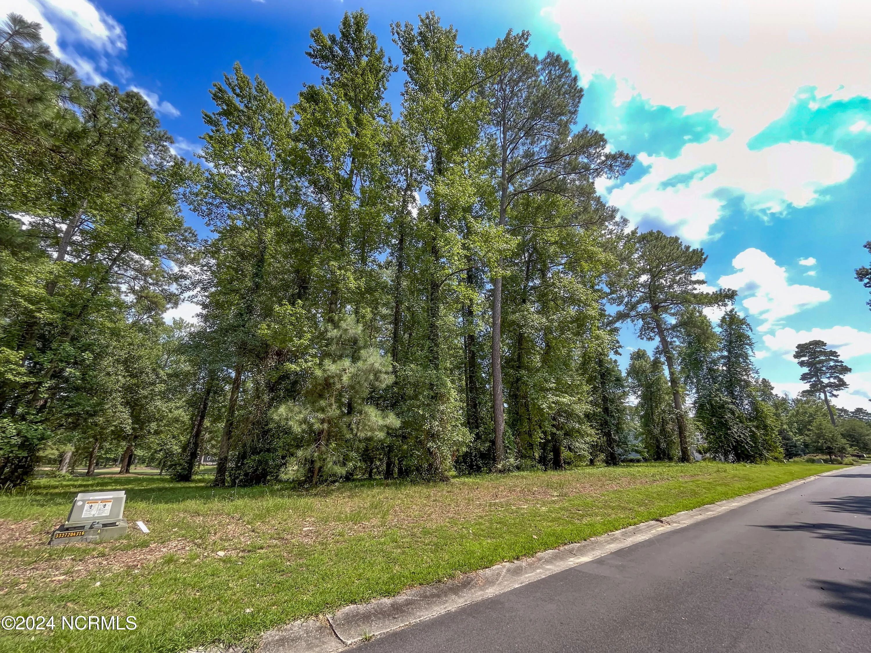 Wallace, North Carolina 28466, United States, ,Land,Pending,45101