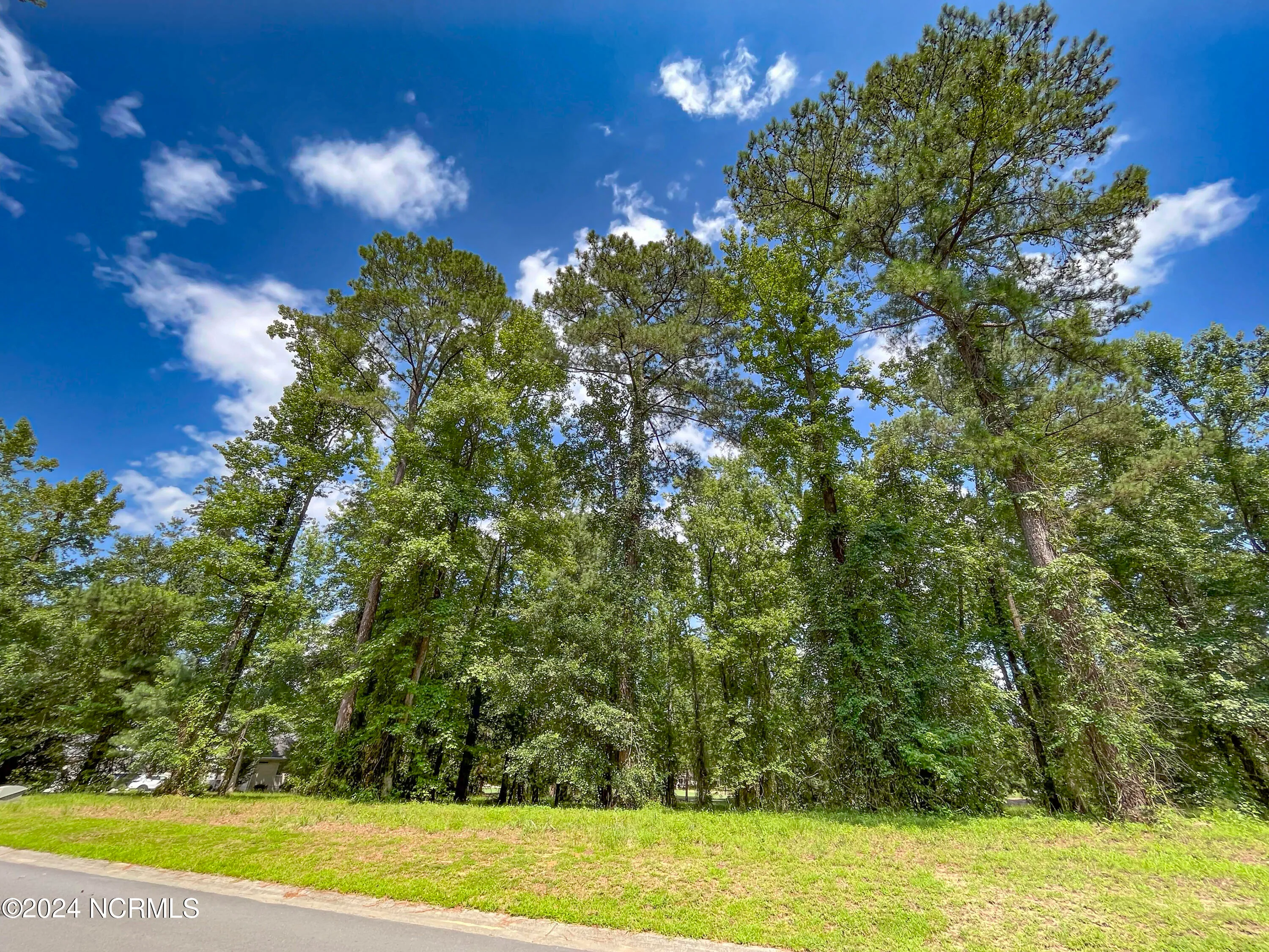 Wallace, North Carolina 28466, United States, ,Land,Pending,45101