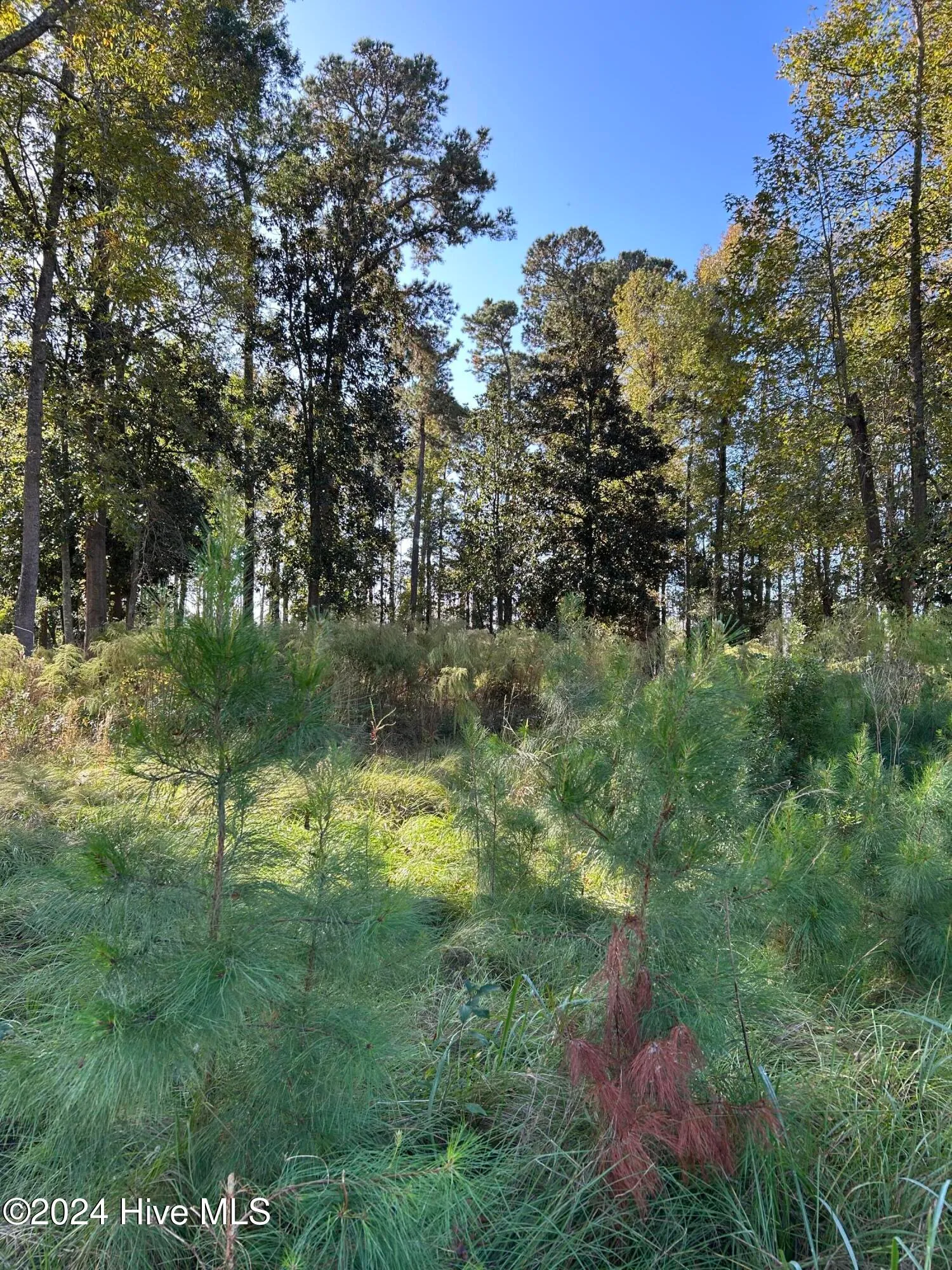 Wilmington, North Carolina 28401, United States, ,Land,Active,34772