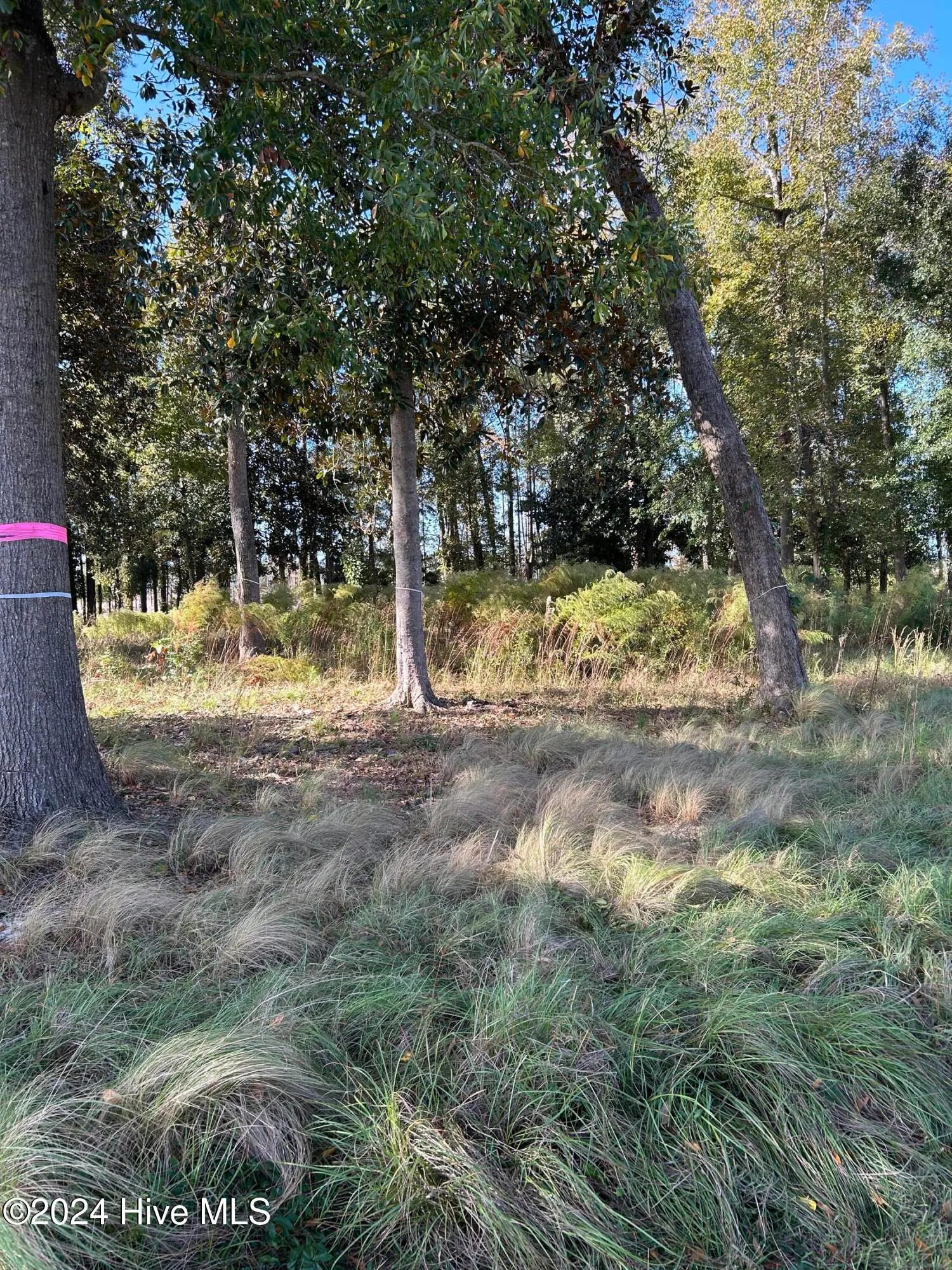 Wilmington, North Carolina 28401, United States, ,Land,Active,34772