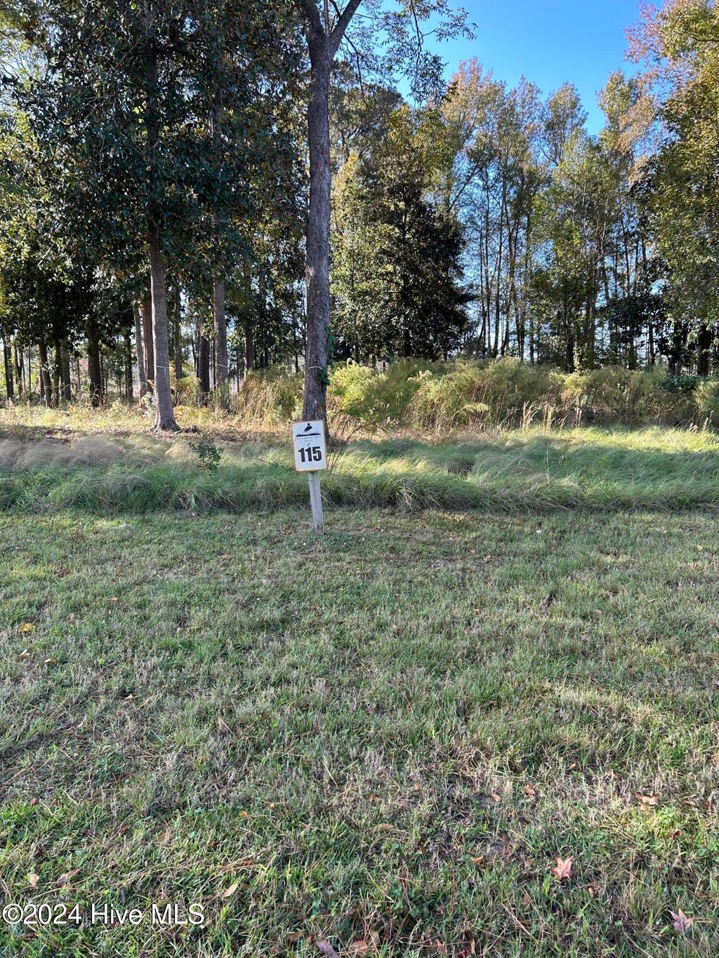 Photo of 312 Preservation Point Avenue, Wilmington, NC 28401 (MLS # 100474546)