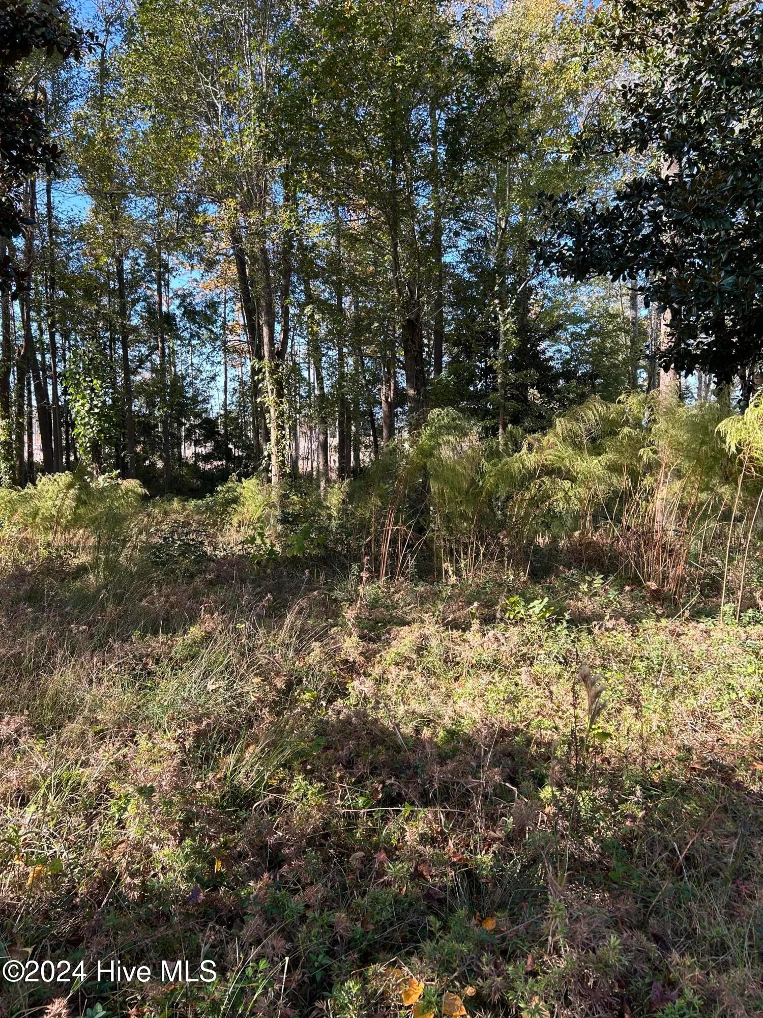 Wilmington, North Carolina 28401, United States, ,Land,Active,34772