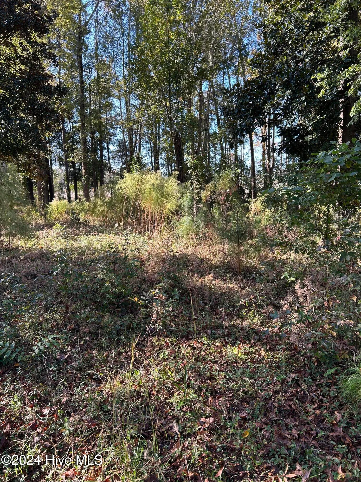 Wilmington, North Carolina 28401, United States, ,Land,Active,34772