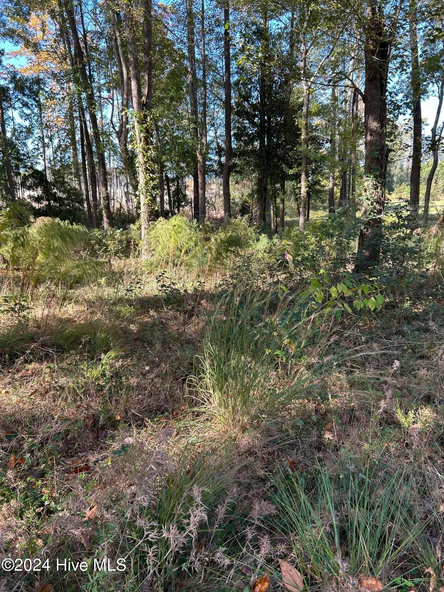 Wilmington, North Carolina 28401, United States, ,Land,Active,34772