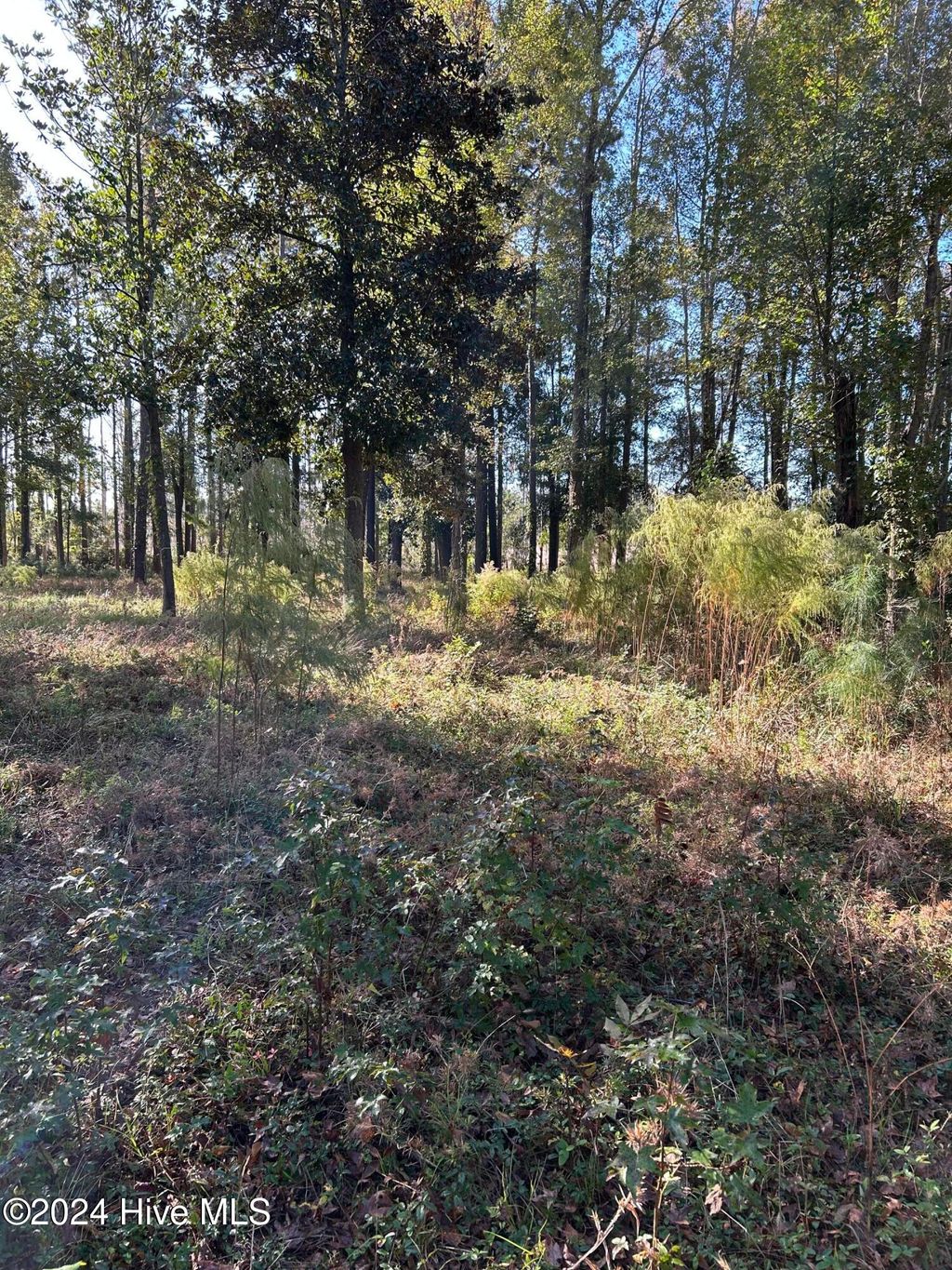 Photo of 312 Preservation Point Avenue, Wilmington, NC 28401 (MLS # 100474546)