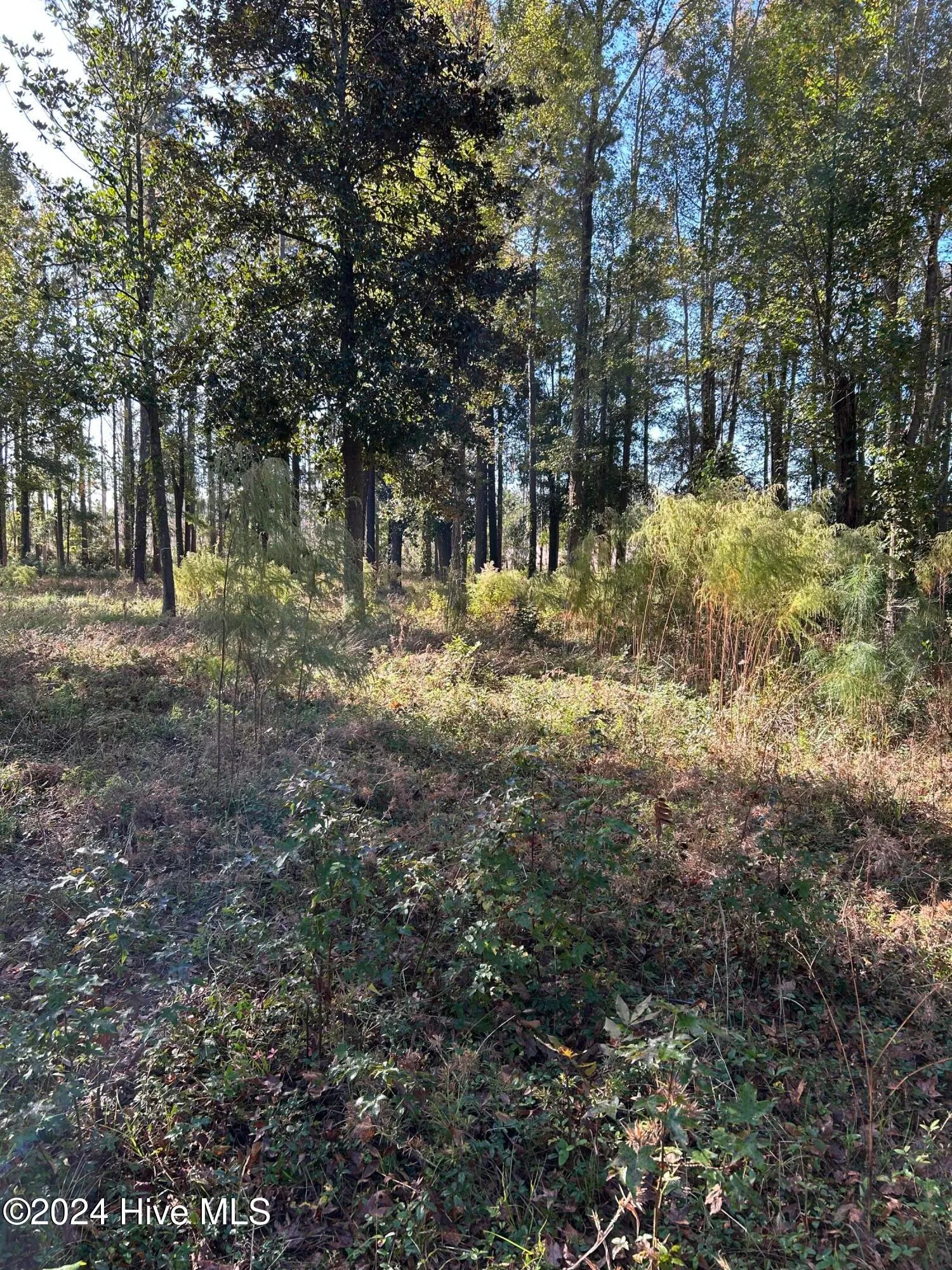 Wilmington, North Carolina 28401, United States, ,Land,Active,34772