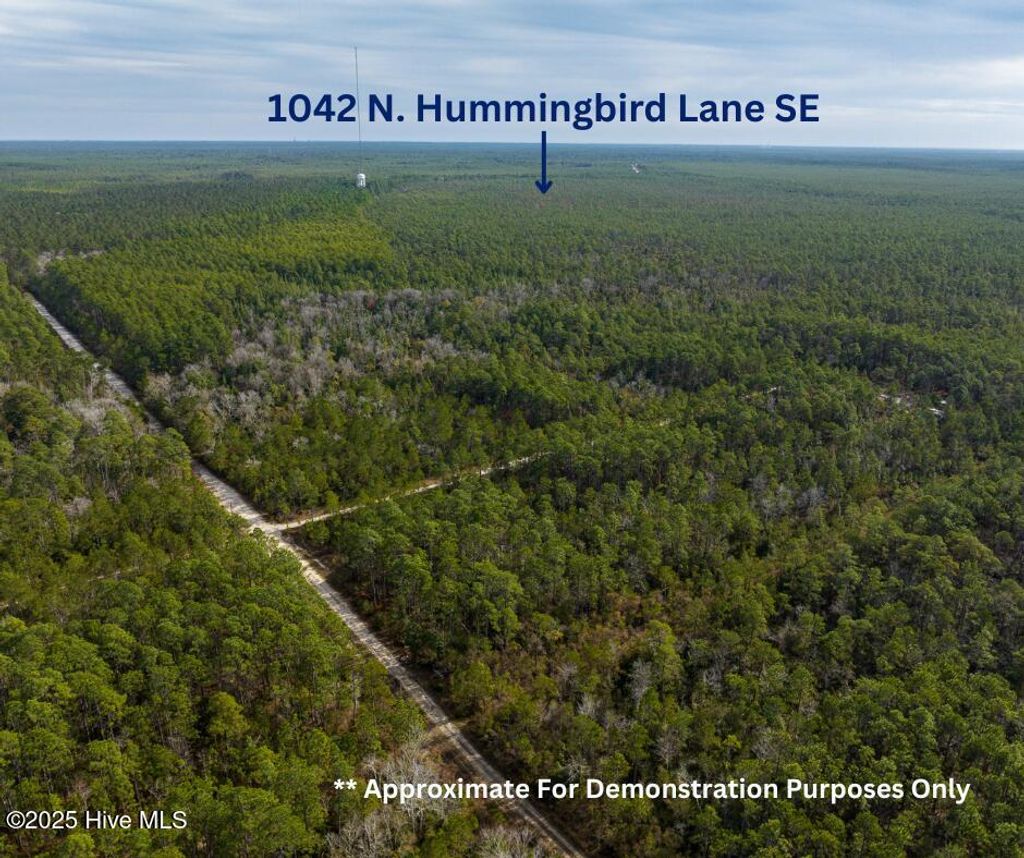 Photo of 1042 N Hummingbird Lane SE, Southport, NC 28461 (MLS # 100535199)