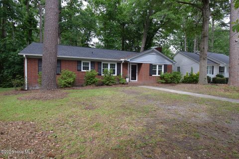 Photo of 1415 N Overlook Drive, Greenville, NC 27858 (MLS # 100537566)